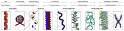 Chromatin Structures.png