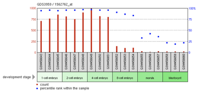 C3orf56 expression throughout embyronic development