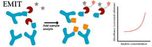 Enzyme multiplied immunoassay technique (EMIT).png