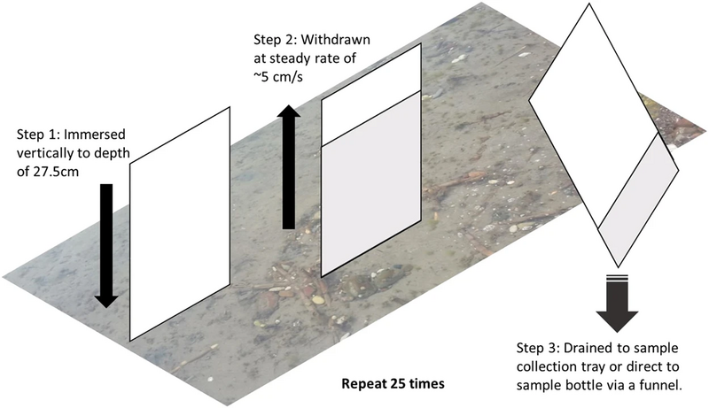 File:Glass plate sampling of the sea surface microlayer.webp