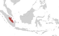 Ichthyophis sumatranus area.png