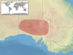 Lerista elongata distribution.png