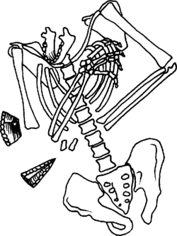 Neanderthal-burial.gif