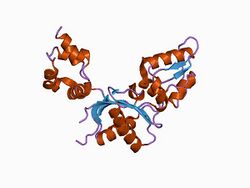 PDB 1bpb EBI.jpg