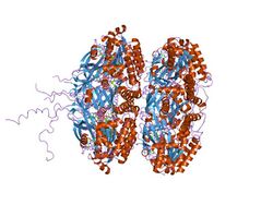 PDB 2gbl EBI.jpg