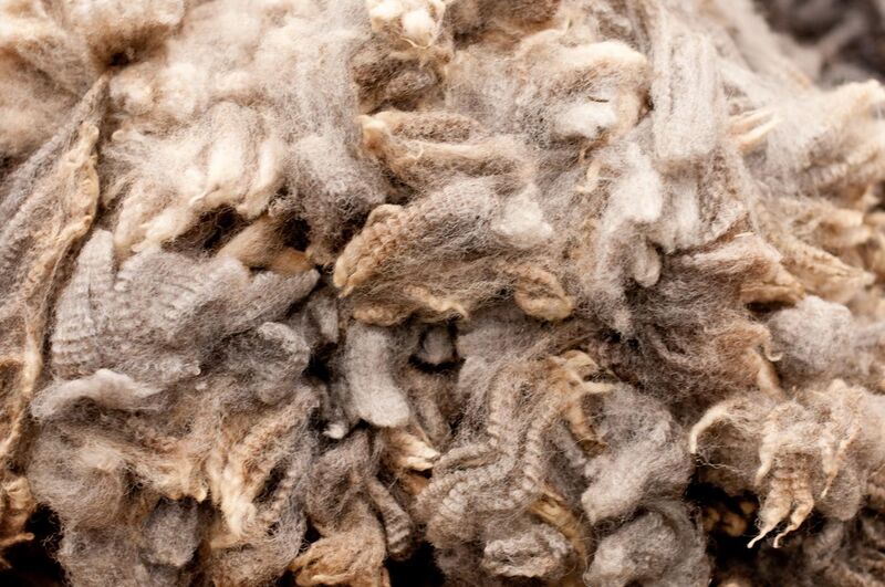 File:Royal Winter Fair Wool.jpg