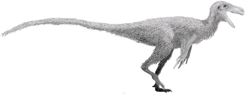 File:Stokesosaurus by Tom Parker.png