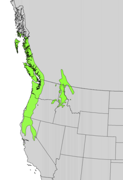 Taxus brevifolia range map.png