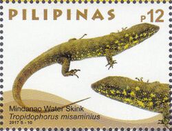 Tropidophorus misaminius 2017 stamp of the Philippines.jpg