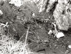 Yeti footprint, Singaleela ridge, 1944, photoed by CR Cooke.jpg