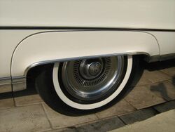 1969 Buick Electra 225 Custom white fender skirt.jpg