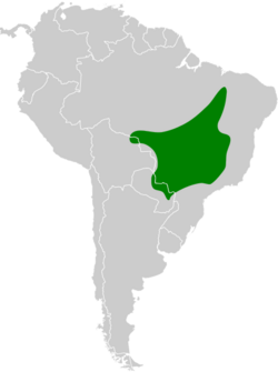 Antilophia galeata map.svg