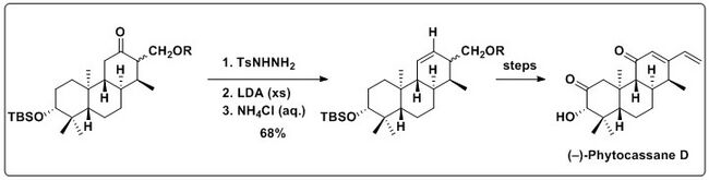 Use of the Shapiro reaction in the synthesis of (–)-phytocassane D