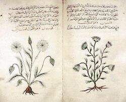Arabic herbal medicine guidebook.jpeg