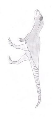 Bahariasaurus ingens, like megaraptora.jpg