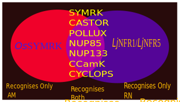 Some SYM genes respond to both RN and AM symbiosis. Some variants exclusively respond to any 1 type of the symbioses.