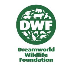 DWF logo.png