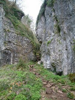 Ebbor Gorge - geograph.org.uk - 1057902.jpg