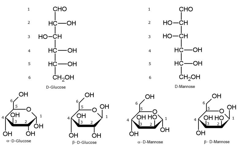 Example Of Open Chain Compound