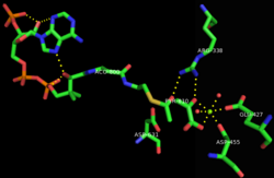 Malate synthase active site.png