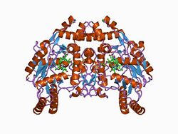 PDB 1d1x EBI.jpg