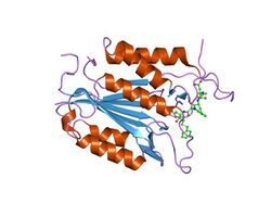 PDB 1rhu EBI.jpg