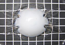 Pet plastic crystallisation.jpg