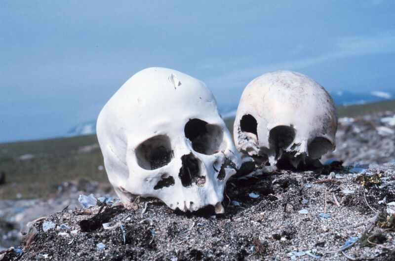 File:Punuk.Alaska.skulls.jpg