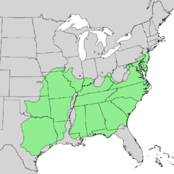 Quercus marilandica range map 1.png