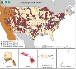 Rainbow Trout US Range.JPG