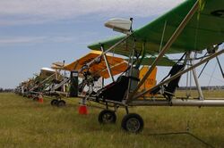 The Moyes fleet of Dragonflies at Forbes.JPG