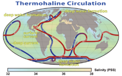 Thermohaline Circulation 2.png