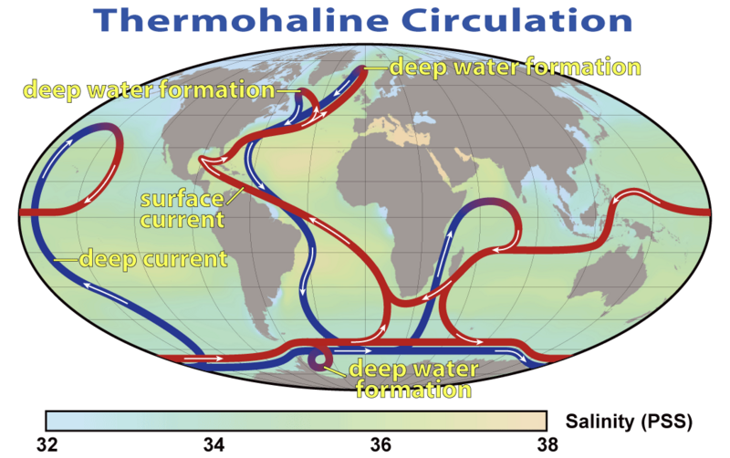 File:Thermohaline Circulation 2.png