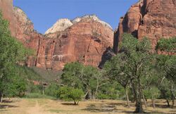 Zion Canyon, Zion National Park, Utah. Castle Dome.jpg