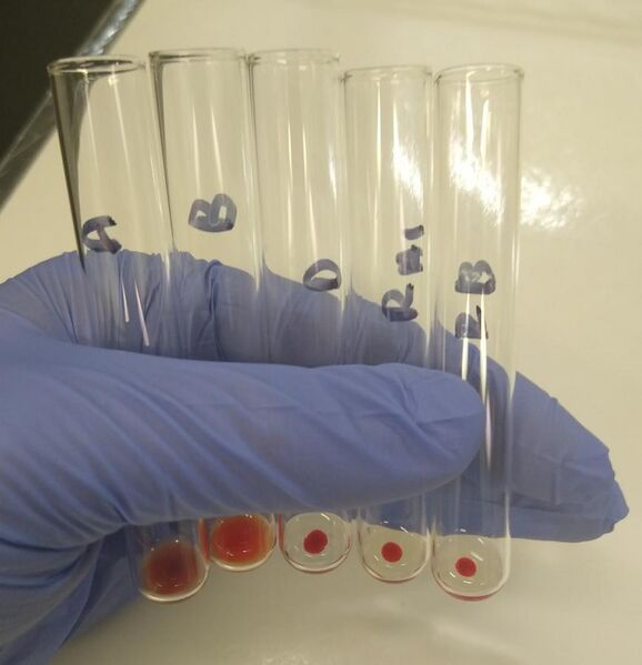 File:Blood typing by manual tube method - type O positive.jpg