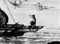 Double canoes. Tipaerua, 1769-71 (crop of dog).jpg