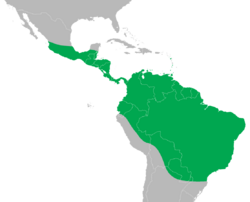Iguana iguana distribution map.png