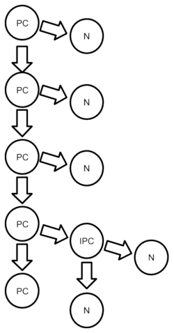 Intermediate Progenitor Cell Lineage.png