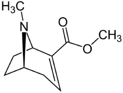 Methylecgonidine.png