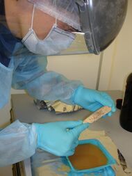 A photo of Neanderthal DNA extraction in process