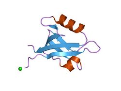 PDB 1r6j EBI.jpg