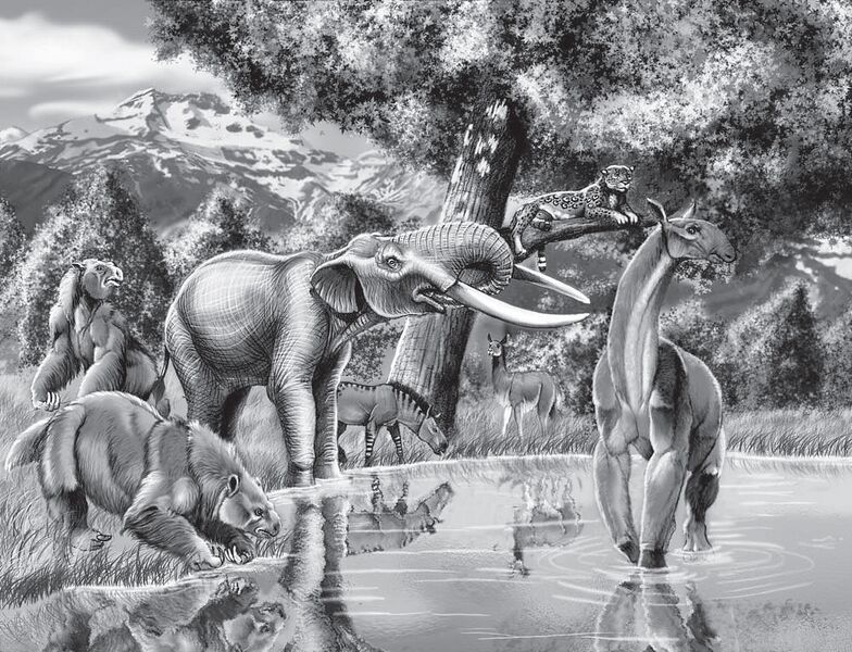 File:Pleistocene mammals of Chile.jpg