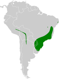 Poecilotriccus plumbeiceps map.svg