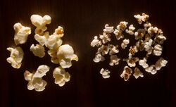 Popcorn and pop sorghum.jpg