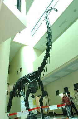 Pukyongosaurus.jpg