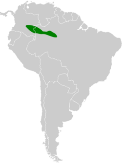 Rhegmatorhina cristata map.svg