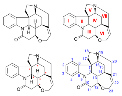 Strychnine numbering conventions