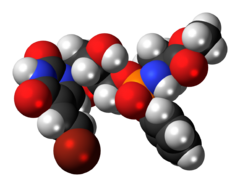 Space-filling model of the thymectacin molecule