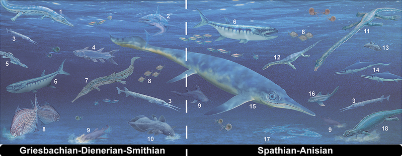 File:Triassic marine vertebrate apex predators.png