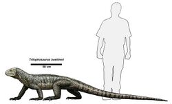 Trilophosaurus buettneri (1).jpg